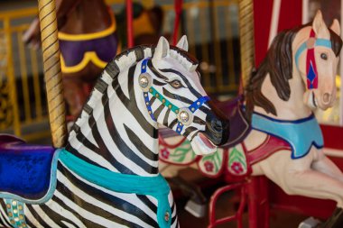 Zebra gitmeye hazır.