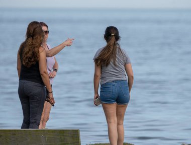 Harrison Township, Michigan - ABD - 05.27.2020: Corona Virüsü sırasında Michigan Metro Parkı etkinliği.