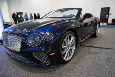 Novi, Michigan, ABD - 01.04.2020: Güneydoğu Michigan Otomobil Fuarı ve 2020 otomobil ve kamyonun tamamı.