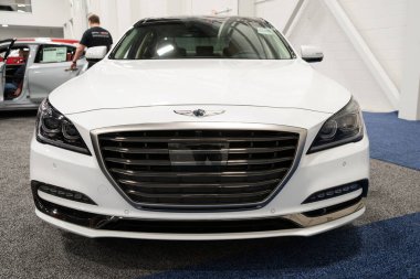 Novi, Michigan, ABD - 01.04.2020: Güneydoğu Michigan Otomobil Fuarı ve 2020 otomobil ve kamyonun tamamı.