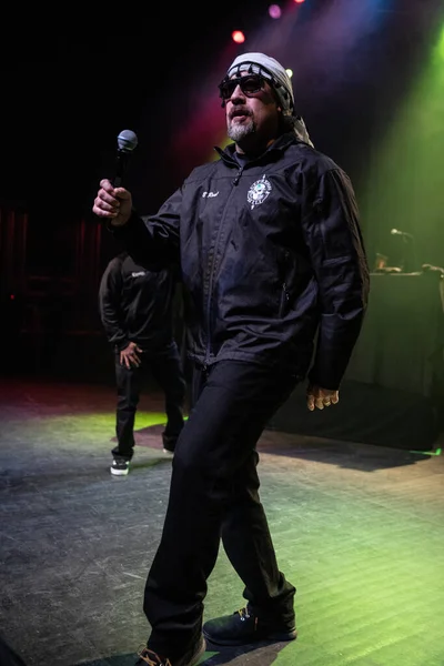 Detroit Michigan Usa 2019 Cypress Hill Esibisce Dal Vivo Fillmore — Foto Stock