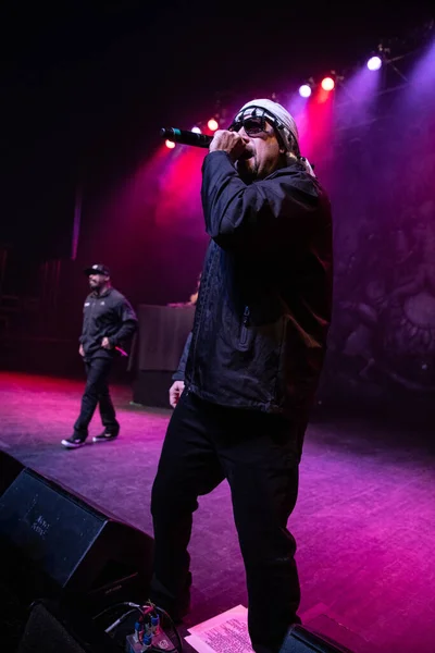 Detroit Michigan Estados Unidos 2019 Cypress Hill Actúa Vivo Fillmore —  Fotos de Stock