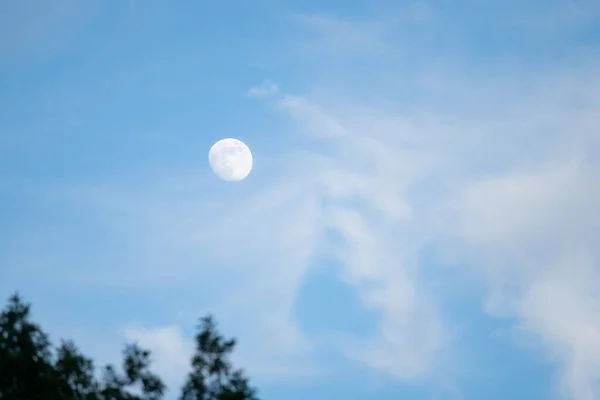 Bulan Terlihat Langit Biru Atas Pepohonan — Stok Foto