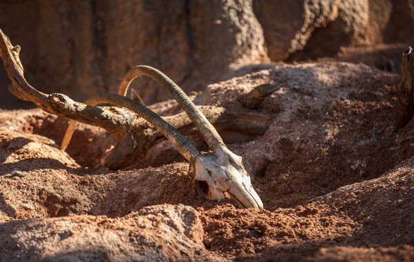 Gammalt Rostigt Järn Marken — Stockfoto