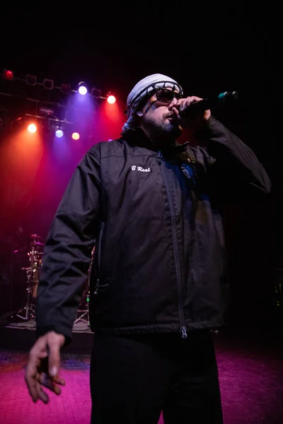 Detroit Michigan Estados Unidos 2019 Cypress Hill Actúa Vivo Fillmore — Foto de Stock