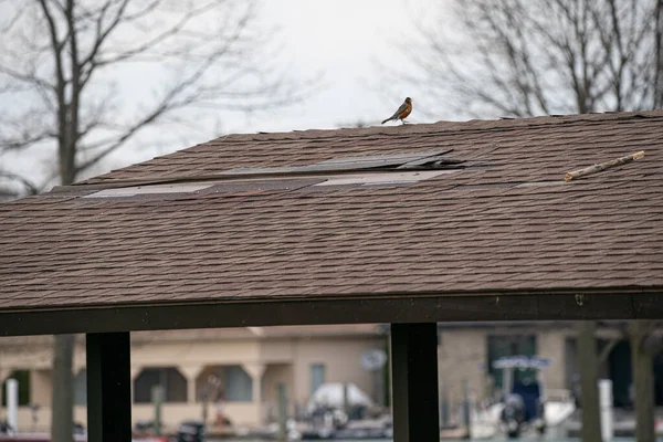 Harrison Township Michigan Usa May 2020 Δραστηριότητα Στο Metro Park — Φωτογραφία Αρχείου