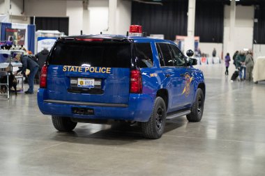 Novi, Michigan, ABD - 01.17.2020: Michigan Kış Köpeği Klasik Fuarı