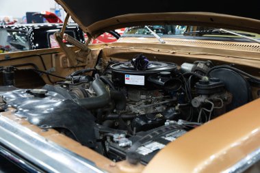 Detroit, Michigan, ABD 28 Şubat 2020: 68. Geleneksel Otomatik Rod Gösterisi ve Fuarı.