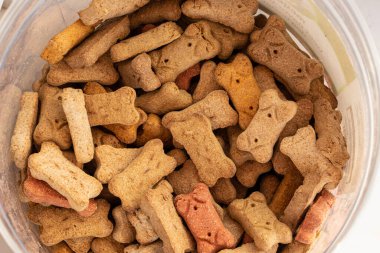 Köpek bisküvileri bir kovada evcil hayvanınıza servis edilmeyi bekliyor.