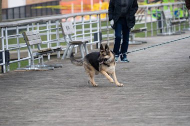 Harrison Township, Michigan / ABD - 19 Nisan 2020: Corona Virüsü sırasında Michigan Metro Parkı etkinliği.