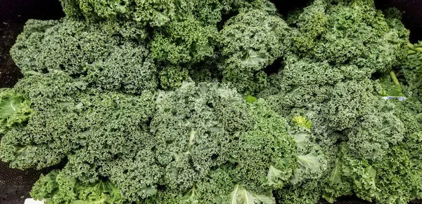 Green Broccoli Market — Stock Photo, Image