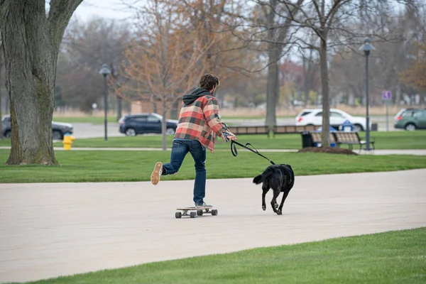 Harrison Township Michigan Verenigde Staten Mei 2020 Michigan Metro Park — Stockfoto