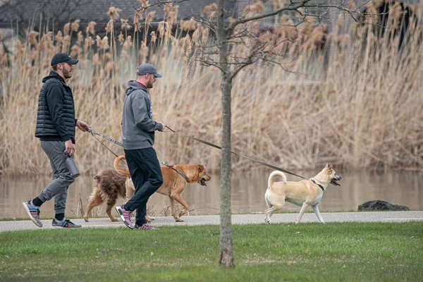 Harrison Township Michigan Eua Abril 2020 Michigan Metro Park Activity — Fotografia de Stock