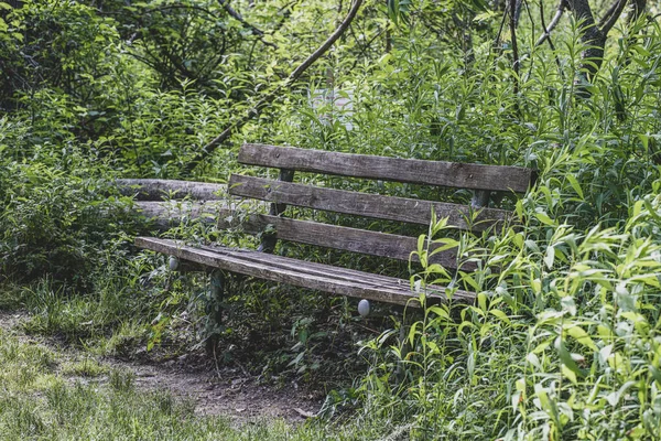 parkbench is weathered and worn on the path ahead of you