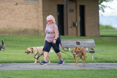 2020 yılındaki salgın Corona Virüsü sırasında Michigan Metro Park etkinliği