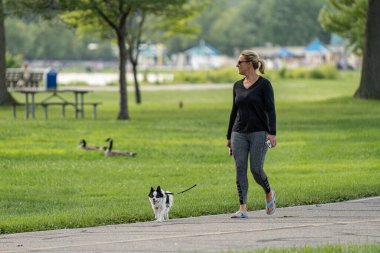 2020 yılındaki salgın Corona Virüsü sırasında Michigan Metro Park etkinliği