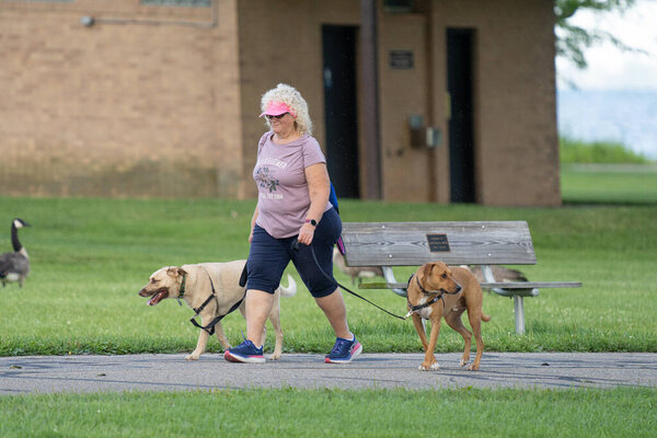 Michigan Metro Park activity during the days of the 2020 pandemic Corona Virus