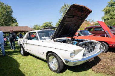 24. Geleneksel Rıhtım Otomobili Fuarı 9-21-2020 'de Amerika Vintage Motor Otomobil Kulübü tarafından sunuluyor.