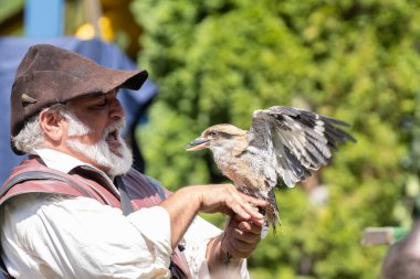 Michigan Rönesans Festivali, 30 Ağustos 2025