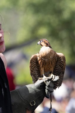 Michigan Rönesans Festivali, 30 Ağustos 2025