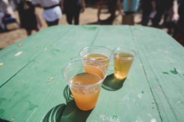 Michigan Rönesans Festivali, 30 Ağustos 2025