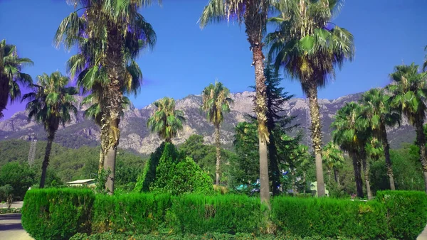 Dağlar, palmiyeler, Türkiye'nin manzarası