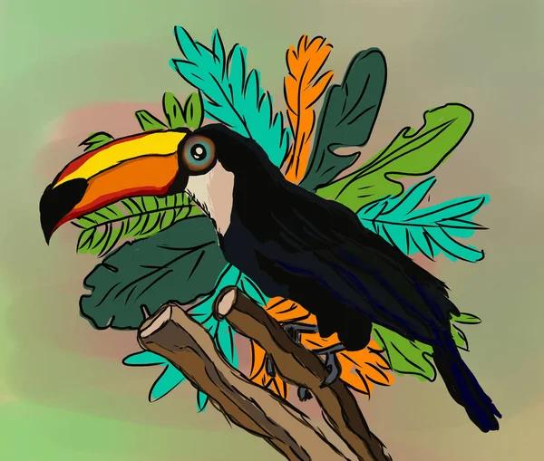 Toucan Oiseau Personnage Dessin Animé Faune Amérique Sud Illustration Animalière — Photo