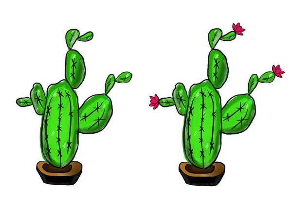 Cactus Ilustración Fondo Blanco Diseño Para Textil Tela Impresión Envoltura —  Fotos de Stock