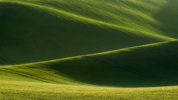 Beautiful Spring Scenery Detail South Moravian Field Colorful Hill Czech — Stock Photo, Image