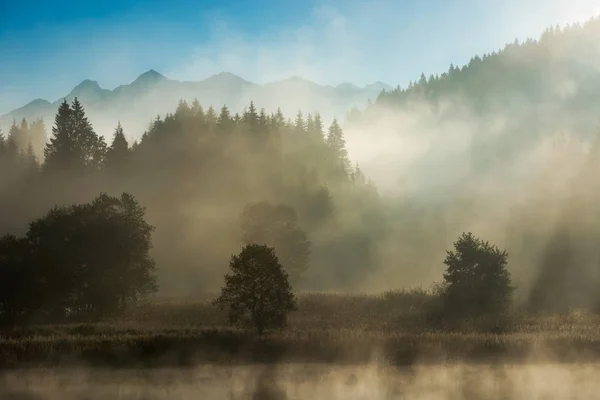 山の峰 バイエルン アルプス ババリア ドイツの美しい霧日の出秋日中に湖と Geroldsee フォレスト — ストック写真