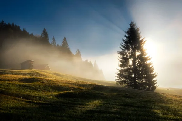 バイエルンアルプス バイエルン ドイツの美しい霧の日の出と秋の日の間にゲロルゼフィールド — ストック写真