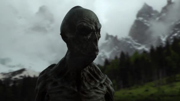 Alien Sur Fond Forêt Montagnes — Video