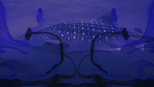 Great Shark Close Underwater World Double Exposure Effect — Stock Video