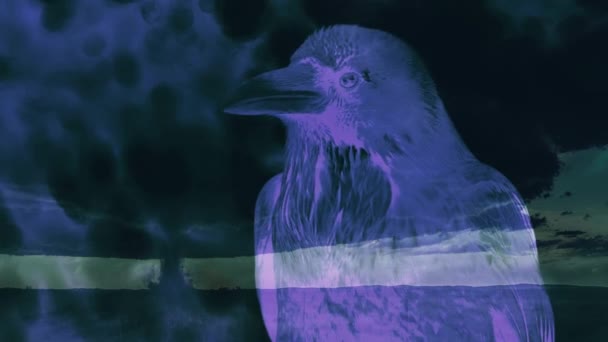 Neon Raven Farklı Yönlere Bakıyor Dünya Sahasında Kasırga Çift Pozlama — Stok video