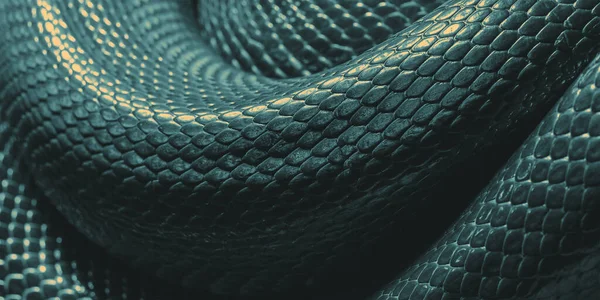 Snake Skin Texture Snake Close Background Surface — Stock Photo, Image