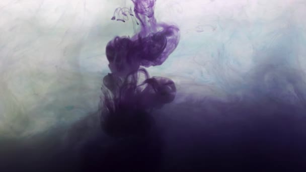Tinta Púrpura Oscura Agua Fondo Abstracto — Vídeo de stock