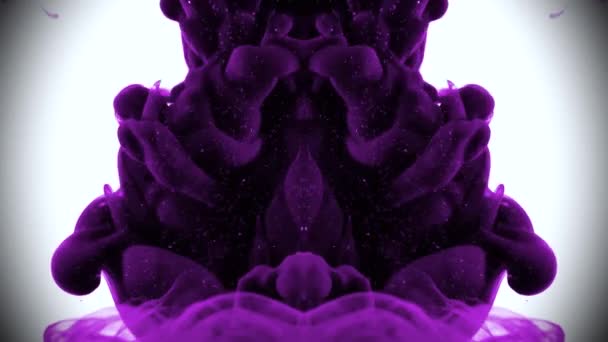 水の中の紫色のインク 分数の雲 — ストック動画