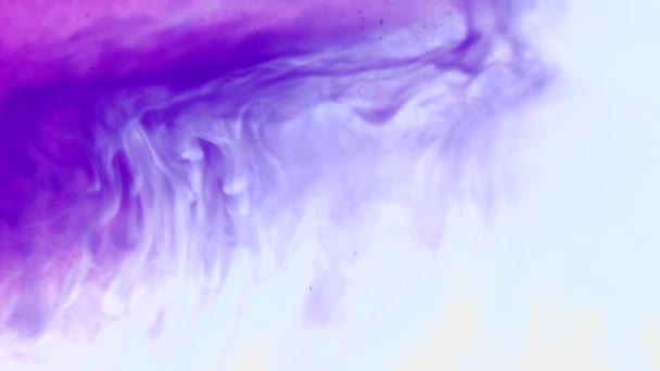 Inchiostro Viola Nell Acqua Nubi Frattali Sfondo Astratto — Video Stock