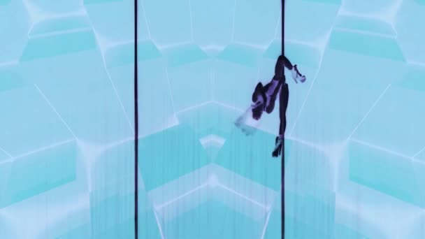 Жінка Танцює Полюсі Абстрактні Колонки Русі Подвійний Ефект Експозиції — стокове відео