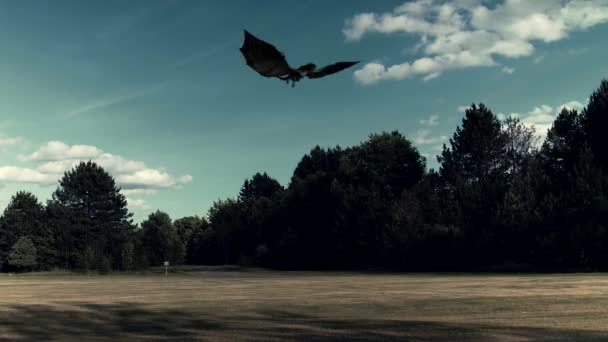 Der Drache Fliegt Über Das Feld Landschaft Der Natur Eine — Stockvideo