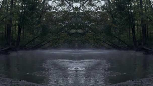 河流周围的树 自然景观 灰暗的天气 — 图库视频影像