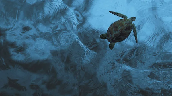 Turtle underwater. Aerial photo. Sea waves. Water background