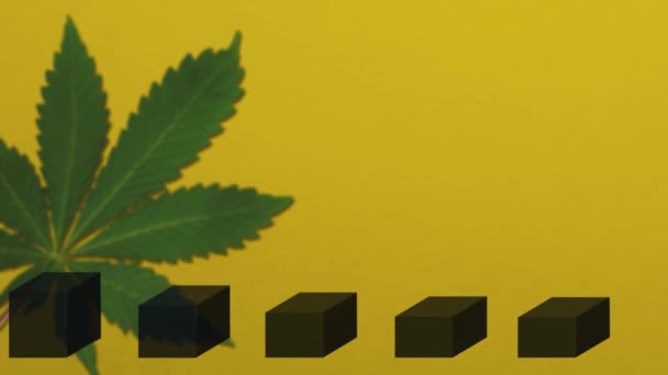 Growing Bar Graph Cannabis Leaf Yellow Background Animation — Stock Video