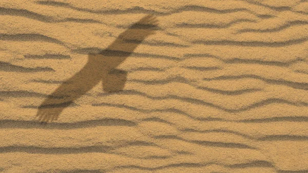 The shadow of a soaring eagle against a background of sand. Sand waves. Background texture