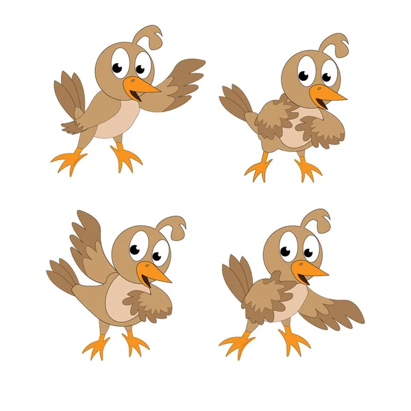 Cute Quails Simple Vector Illustration — Stock Vector