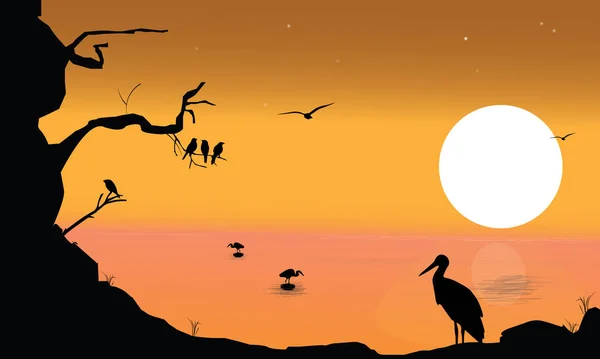 Концепція Природи Силуетом Птахів Фоні Заходу Сонця Проста Векторні Ілюстрації — стоковий вектор