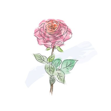 suluboya gül tasarımı çizimi