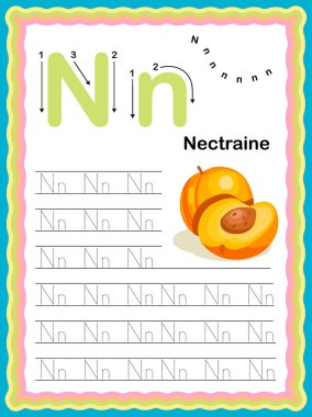 Okul öncesi renkli harf N büyük harf ve küçük harf iz sürme alfabesi Sebzeler ve meyve günlük çalışma tablosu ile başlar, yazdırılabilir A4 boyutu - çocuklar için vektör ilüstrasyon alıştırması