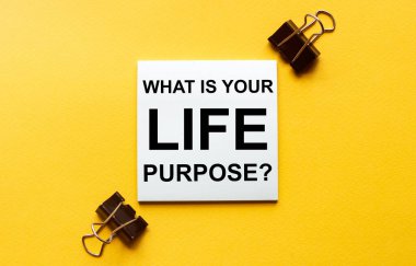 Kırtasiyeli sarı arkaplanda 