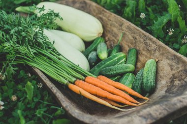 Büyük ahşap bir kasede organik taze sebzeler. Sebzelerle dolu kırsal bir arka plan..
